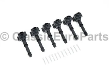 Ignition coil set for Porsche 911 996 997 Boxter 986 Cayman 987 99760210402