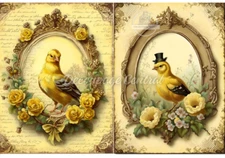 Yellow Bird Duo | A4 8.3" x 11.7" | Rice Paper for Decoupage | Decoupage Central