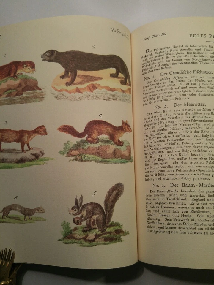 Bilderbuch für Kinder - Erster Band - Faksimile der Ausgabe von 1790 Enthaltend  - Bild 4 von 4