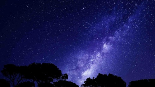 3D Starry Sky Forest Night Scene Wall Murals Wallpaper Murals Wall Sticker - Picture 5 of 11