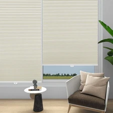 Changshade CUSTOM CUT Cordless Blackout Cordless Cellular Shade Home Decorators