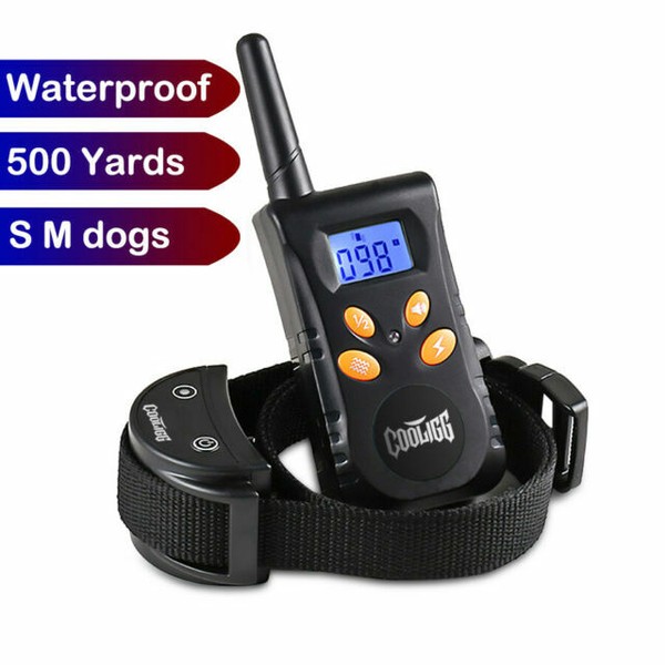 petrainer 998drb review