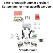 Rep. Kit Steuerketten Kit INA+Kolben STD für...