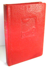 Minibuch Leder 20 Jahre SDAJ Die sozialistische Arbeiterjugend im Plakat, selten