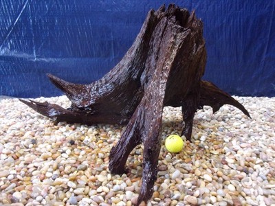 X-Large Driftwood 15''x29''x17'' Aquarium Terrarium Reptile Natural Art