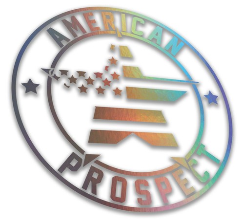 American Prospect Sticker Decal Banner for/fit Mustang F-150 Dodge Jeep Ford GT - Picture 8 of 10