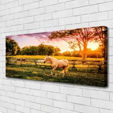 Impression sur toile Image tableaux 125x50 Animaux Cheval Prairie