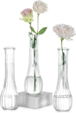 NUPTIO Glass Bud Vases Centerpiece: 3 Pcs Small 2.7"L x 2.7"W x 8.5"H