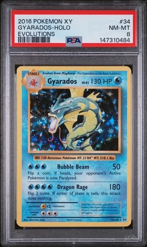 2016 POKEMON XY EVOLUTIONS #34 GYARADOS-HOLO PSA 8