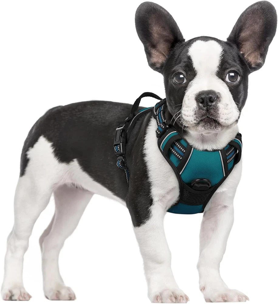 Dog Harness No Pull with 2 Leash Clips, Adjustable Soft Padded, Reflective Oxfor