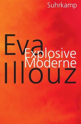 Explosive Moderne Eine scharfsinnige Analyse unserer emotionsgeladenen Gegenwart