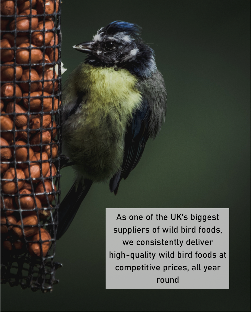 EVERYDAY WILD BIRD FOOD 10kg SOLD BY MALTBYS STORES 1904 LIMITED WILD