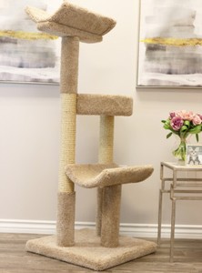 cat tree free shipping