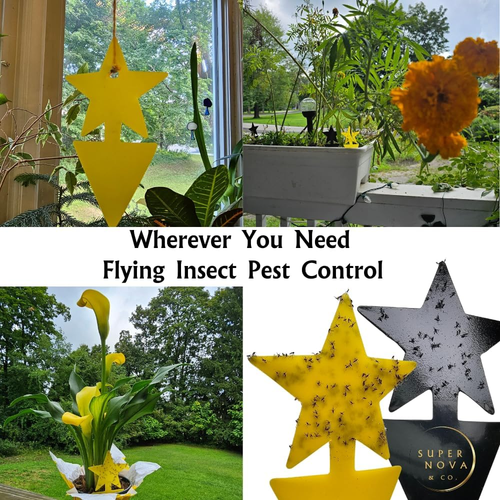 30Pk Sticky Fruit Fly Traps Star-Shaped Indoor Plants Outdoor Garden Double-Side - Picture 6 of 12