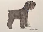 Miniature Schnauzer Original Watercolor by Sandra Coen Standing Black