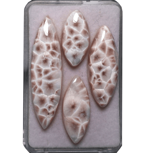 Lot 4 Pcs Natural Thompsonite AAA Quality 20mm-41mm Marquise Cabochon Gemstones - Picture 14 of 15