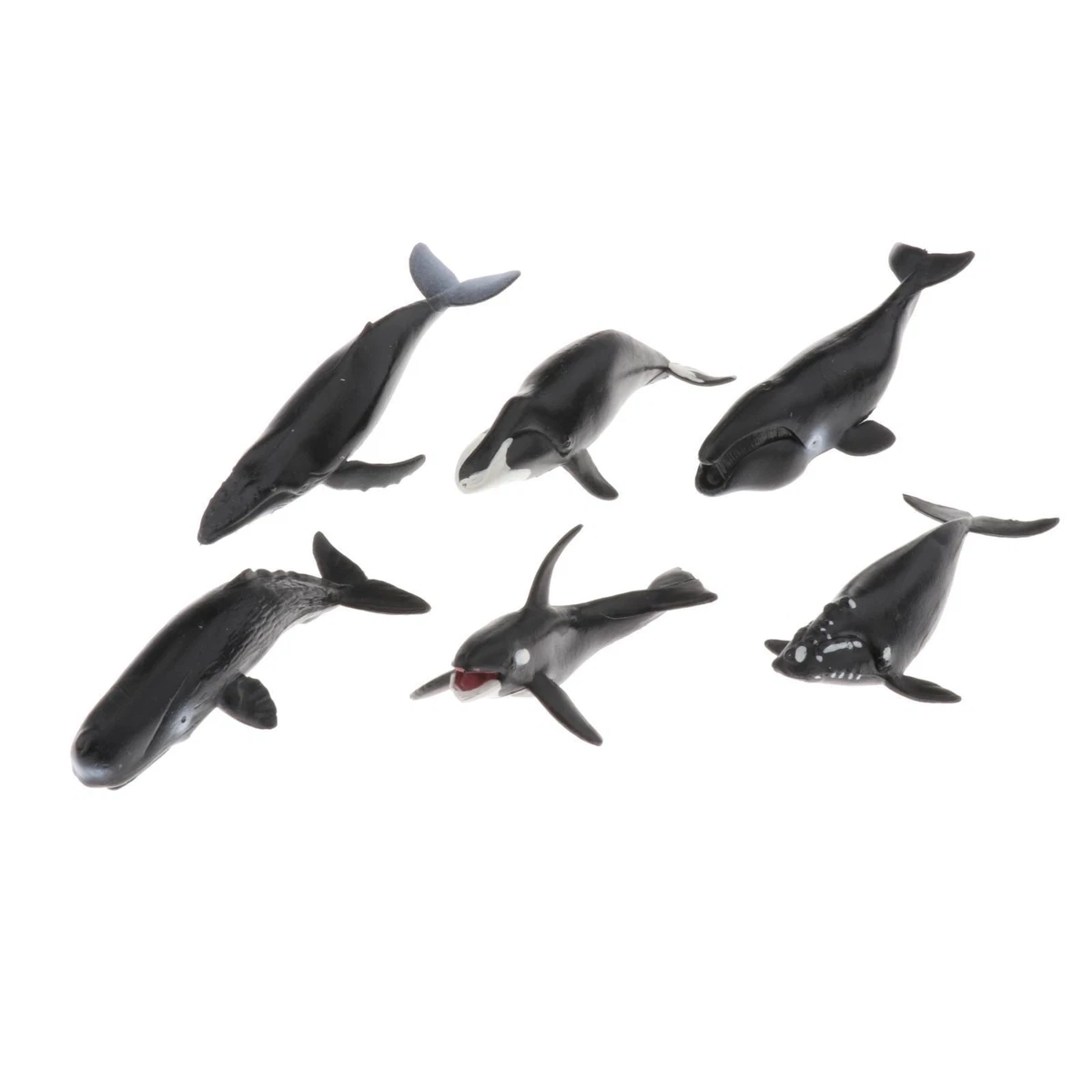 TOYMANY Set di 24 Statuette di Animali Marini, Mini Figurine di Plastica, Oceano, Pesce Squalo, Balena, Polpo per Giocare o Come Decorazione