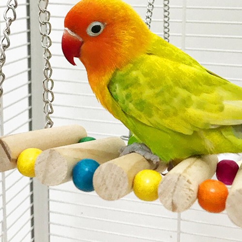 Parrot Toys Pet Birds Cage Swing Hammock Colorful officiel Hanging Hammock Swing Toys