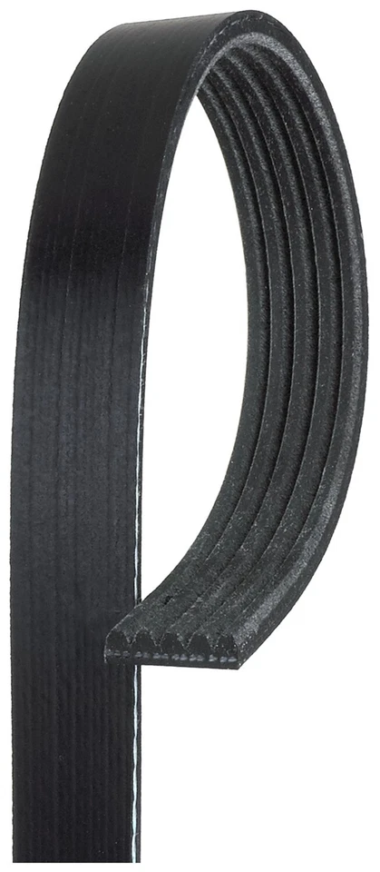 Gates Serpentine Belt For 2009 Pontiac G3 Wave 1.6L L4 GAS - Изображение 2 из 4