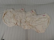 NWT Vintage Dayton's BLUSH Brand High Cut BRIEF Panties Lace Cotton Sz 6 USA I1