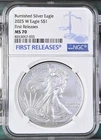 2025-W Burnished Silver American Eagle NGC MS 70 FIRST RELEASES Blue Label
