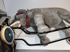 Bild 7 von 12