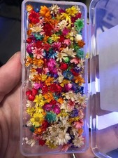 300 PCS Small Dried Flowers for Crafts Mini Dried Flowers for Resin Tiny Natural