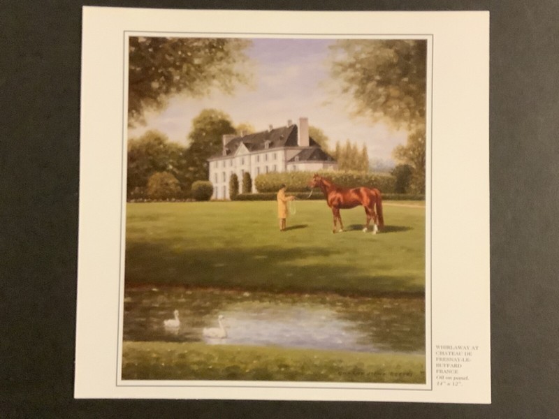 WHIRLAWAY  photo Horse Racing Chateau De Fresnay-Le-Buffard France