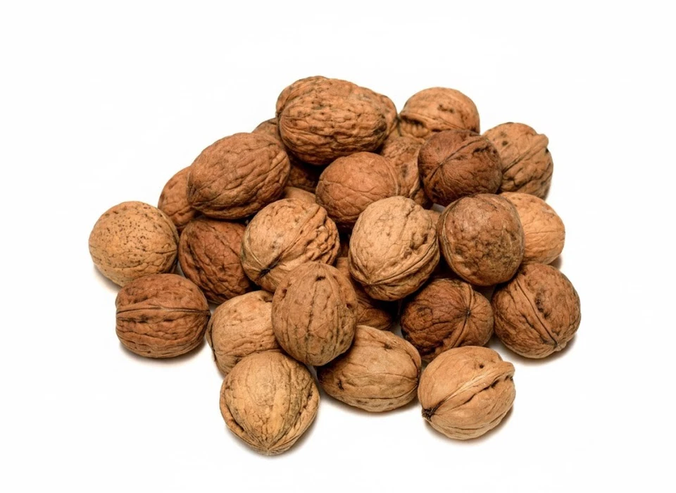 Walnüsse mit Schale von 1-100 kg – Getrocknet, Kalibriert, Ernte 2025 aus Polen - Bild 3 von 4