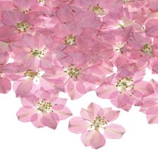 48-Pack Dried Pressed Flowers for Resin, Real Natural Bulk Dry Floral Pink