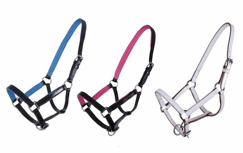 NETPROSHOP Fohlenhalfter Flore Mit Polsterung - Verstellbar Für Pony, Falabella, Ice Green