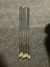 Victory Archery Vforce V6 350 GR