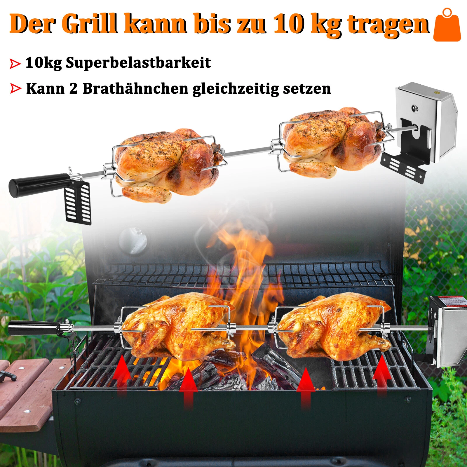 Bild 3 von 12