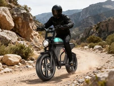 Electric Bike Adult 2KWPK 30-60Mile 25MPH 20*4" Fat Tire Off-road Mountain Ebike