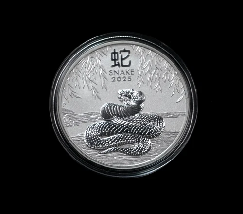 2025 Australian Silver Lunar 1 oz — photo from another recent sale