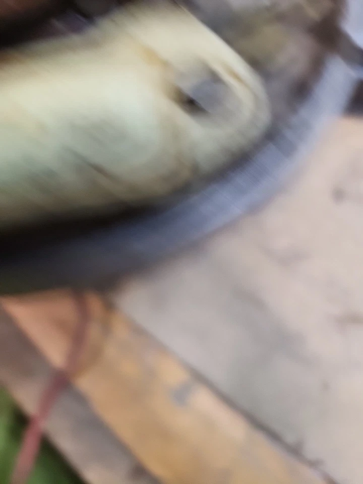 DISTRIBUIDOR GM 1112862 VEGA PONTIAC Foto 3 de 4