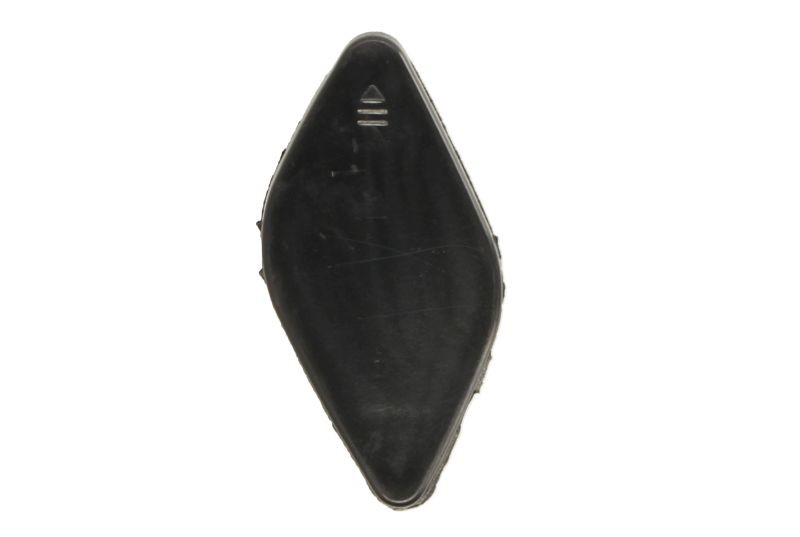 Picture 1