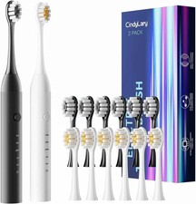 2 Pack Electric Toothbrush Sonic Toothbrush USB Rechargeable 12 Heads 6 Modes