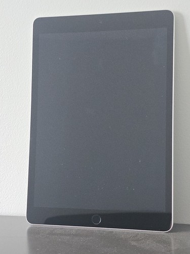 Apple iPad 9th gen Display - Space Gray - Model A2602 - Please Read!