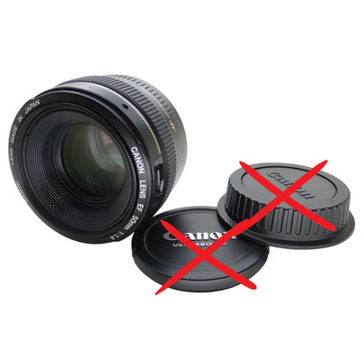 Canon EF f/1.4 USM 50mm AF Porträt lichtstark Vollformat Portraitobjektiv F1.4