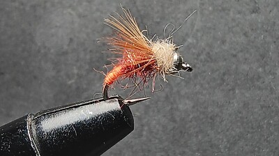 6 Nymphes Frenchie Pour Pêche à La Mouche – Tête Tungstène – Taille 14
