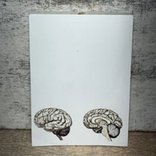 Blue Tree Publishing Assorted Brain Scanned Photos Note Pad 99 Sheets Left 5"x4"