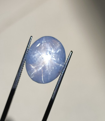 Natural Gray Star Sapphire 7.25ct Large Oval | Multi-Star Effect | Unheated