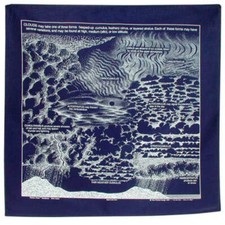 Printed Image Clouds Bandanna 22" x 22" Navy Blue Educational cumulus stratus