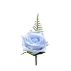Bild 22 von 25