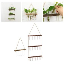 Wall Propagator Terrarium Hydroponic Wooden Planter Wooden Glass Test Tubes