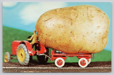 Vintage Photochrome Postcard Big Potato on Tractor Dexter Press