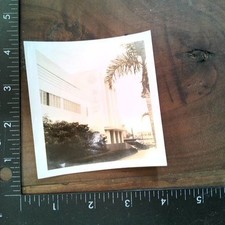 Architecture Building Palm Trees 1940s Snapshot Photograph Art Deco Style