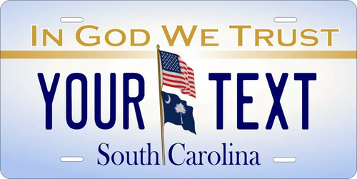 Any State Any Text 250 Custom License Plate Personalized US Canada Mexico - Picture 213 of 250