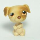 Littlest Pet Shop Lps 109 Jack Russell Terrier Dog Puppy Brown/orange Eyes -1-